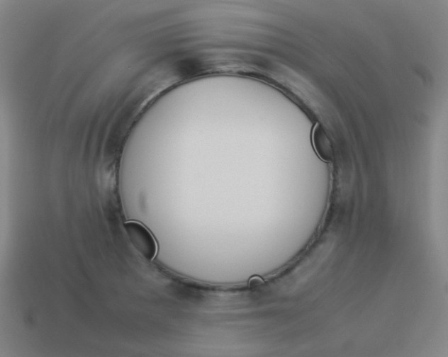 X0000113891281200910221409