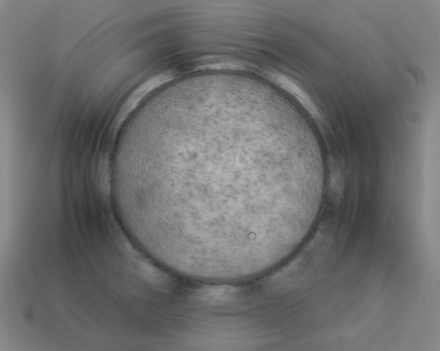 X0000113891282200910221409