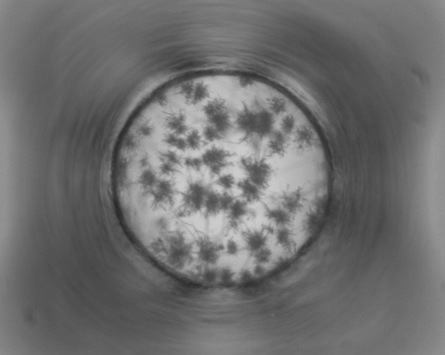 X0000113891283200910221409