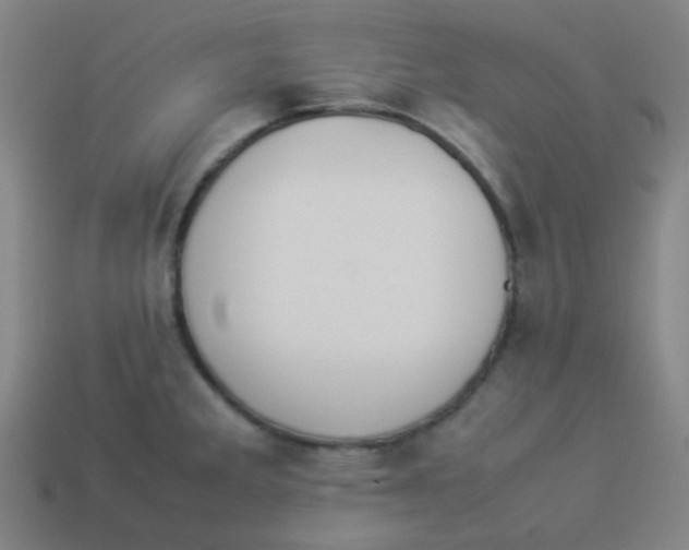 X0000113891285200910221409