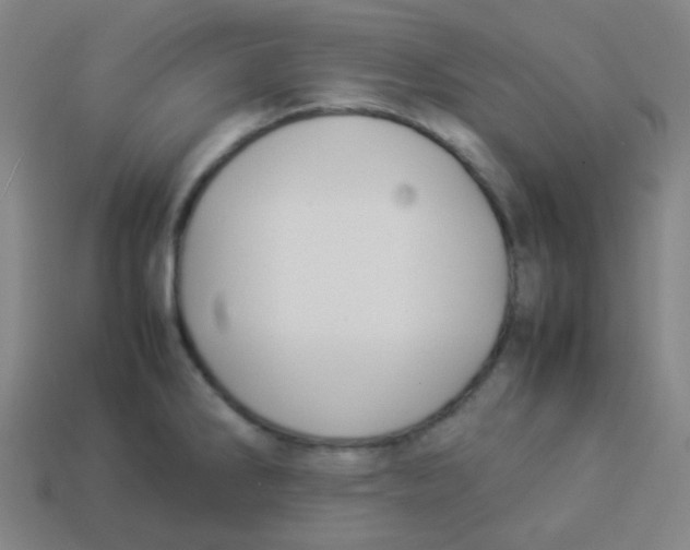 X0000113891286200910221409