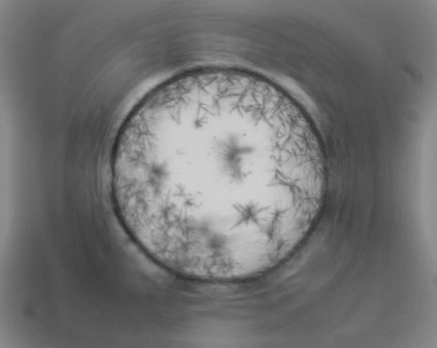 X0000113891287200910221409