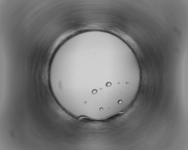 X0000113891288200910221409