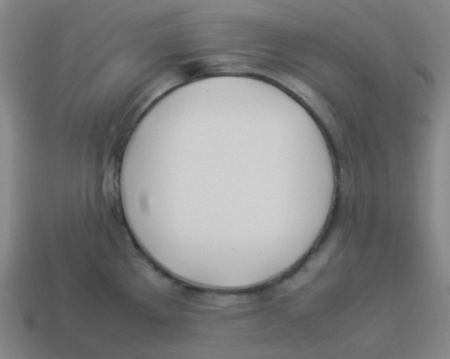 X0000113891289200910221409