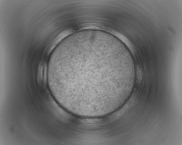 X0000113891290200910221409