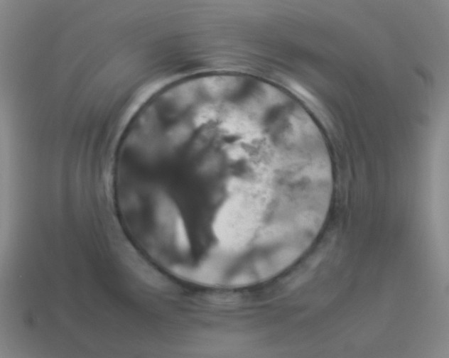 X0000113891291200910221409