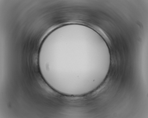 X0000113891292200910221409