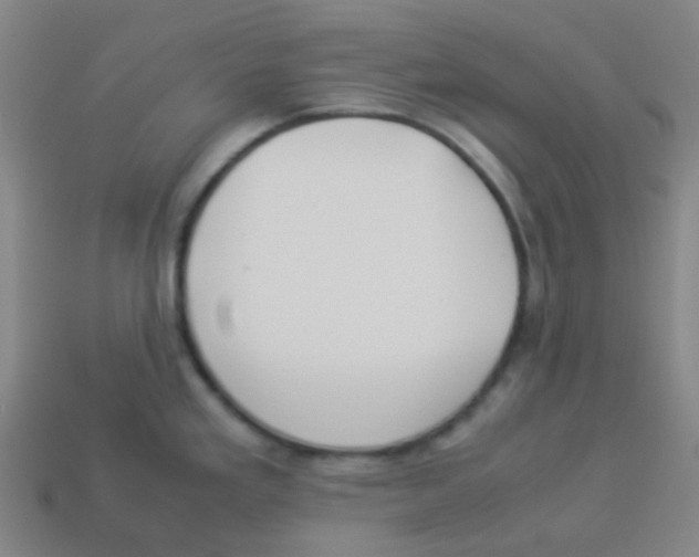 X0000113891293200910221409
