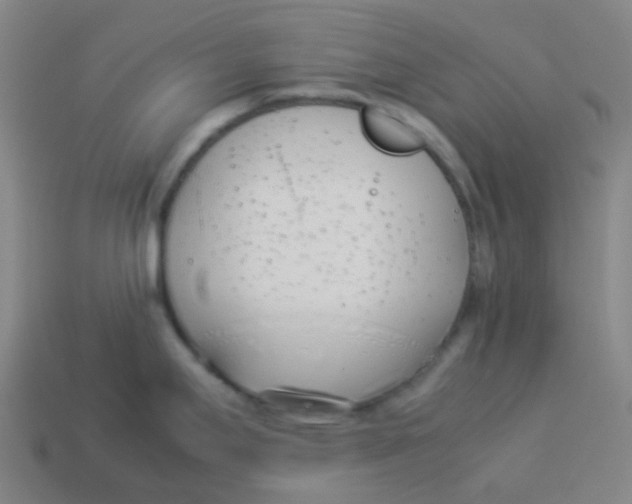X0000113891295200910221409