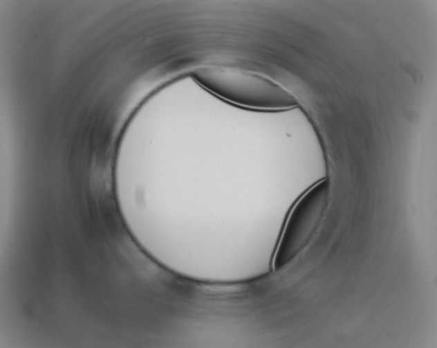 X0000113891296200910221409