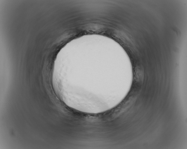 X0000113891297200910221408