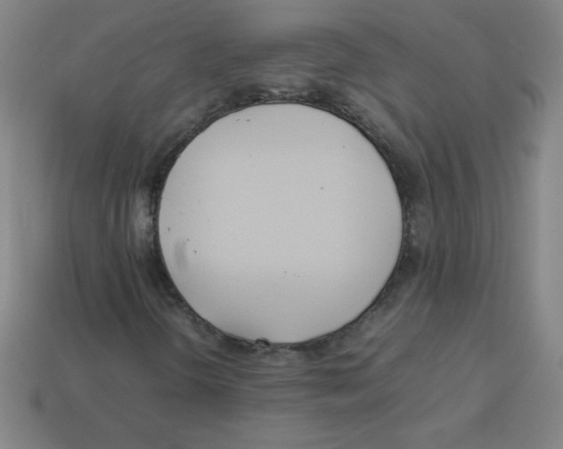 X0000113891298200910221408