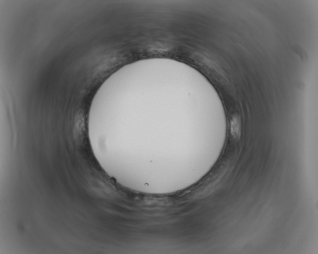 X0000113891299200910221408