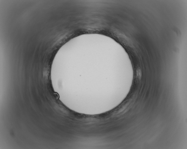 X0000113891300200910221408