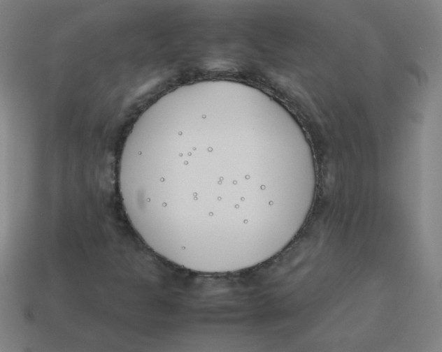 X0000113891301200910221408