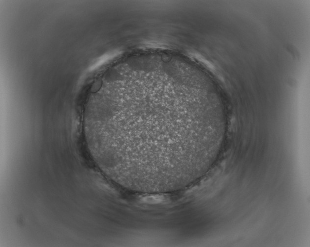 X0000113891303200910221408
