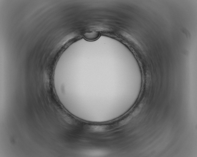 X0000113891305200910221408