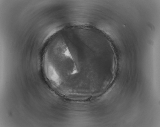 X0000113891306200910221408