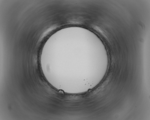 X0000113891307200910221408