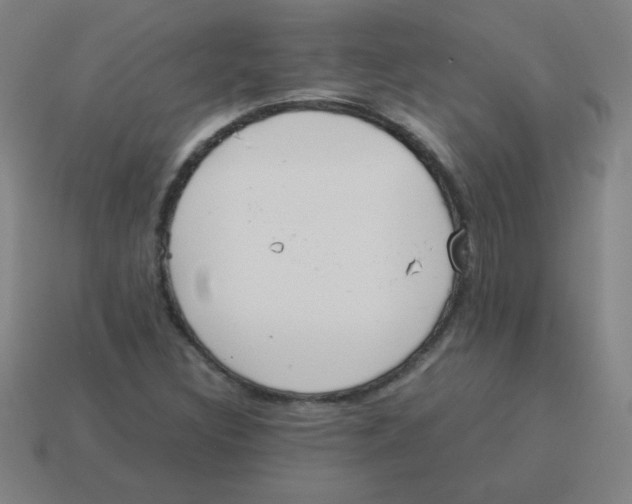 X0000113891308200910221408