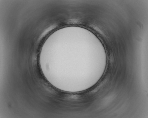 X0000113891309200910221408