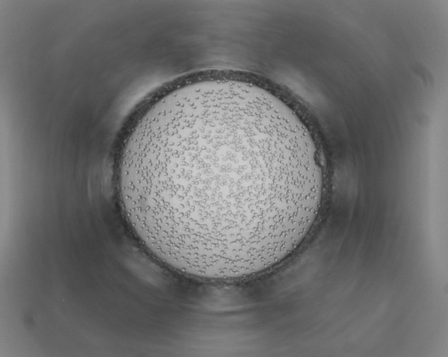 X0000113891310200910221408
