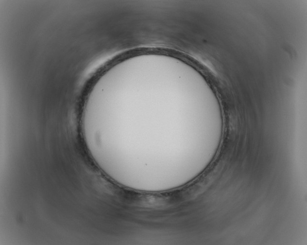 X0000113891311200910221408