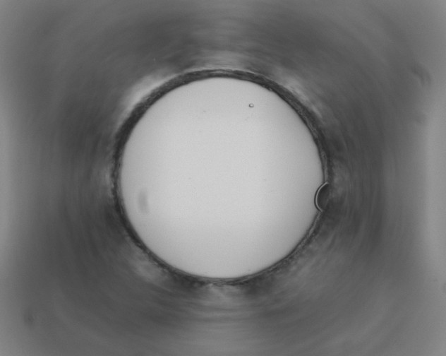 X0000113891312200910221408