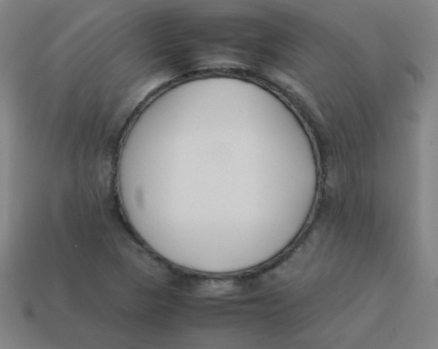 X0000113891313200910221408