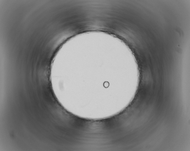 X0000113891314200910221408