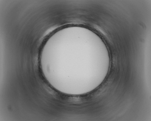 X0000113891315200910221408