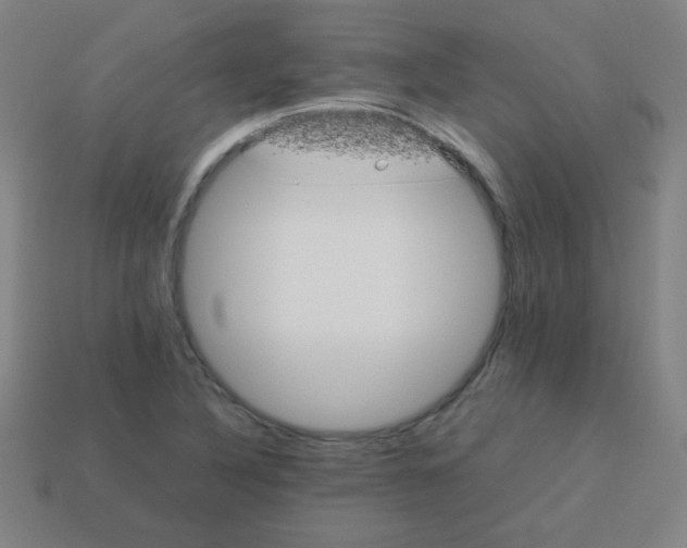 X0000113891316200910221408