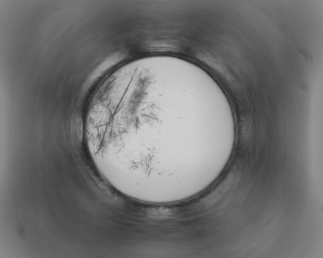 X0000113891317200910221408