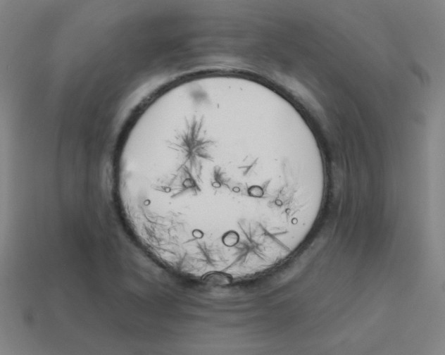 X0000113891318200910221408
