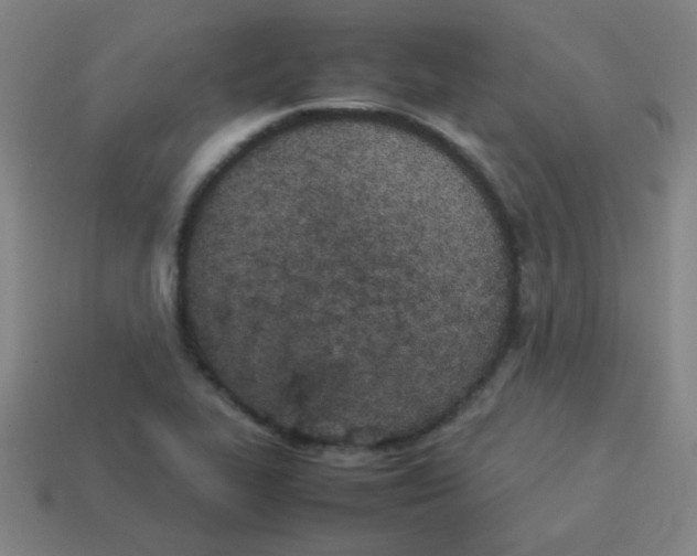 X0000113891319200910221408