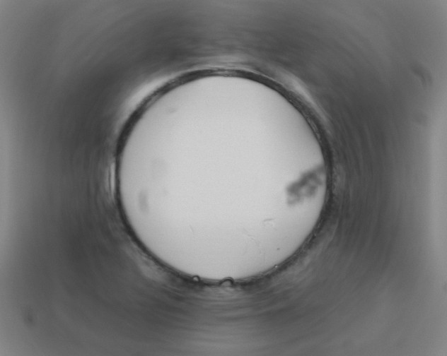 X0000113891320200910221408