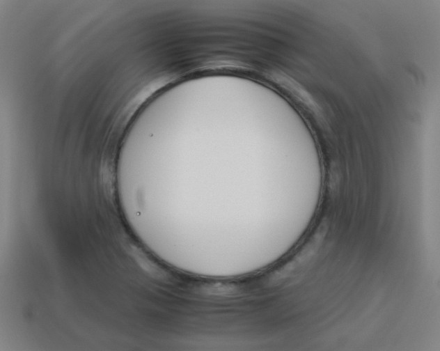 X0000113891321200910221408