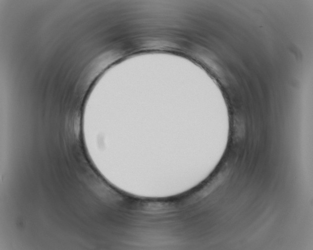 X0000113891322200910221408