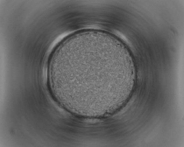 X0000113891323200910221408