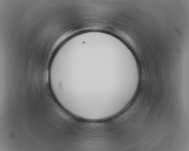 X0000113891324200910221408