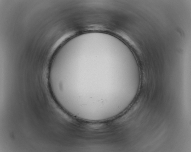 X0000113891325200910221408