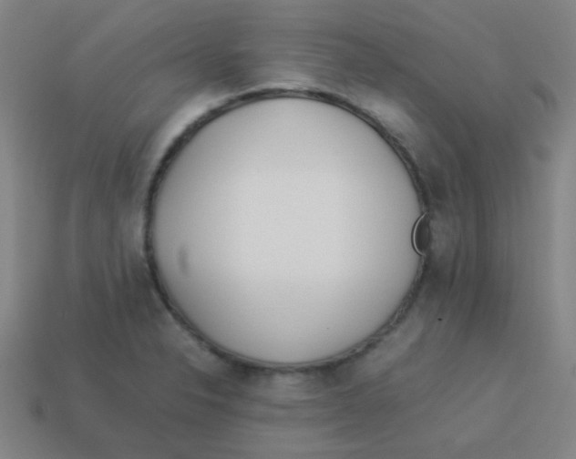 X0000113891326200910221408