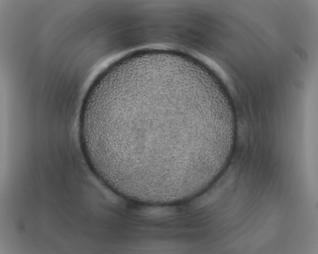 X0000113891327200910221408