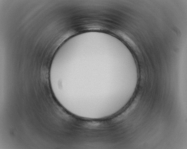X0000113891329200910221408