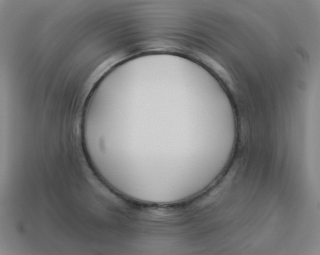 X0000113891330200910221408