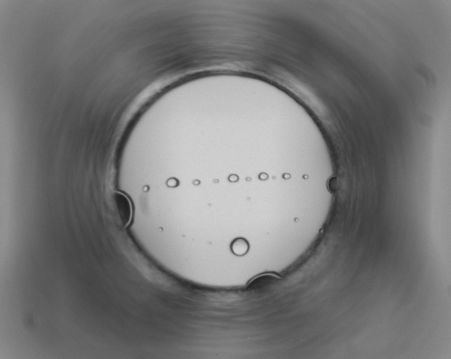 X0000113891332200910221408