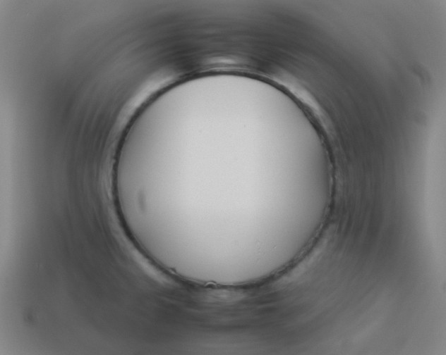 X0000113891333200910221408