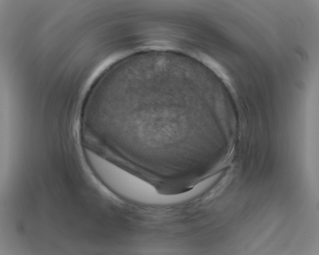 X0000113891334200910221409
