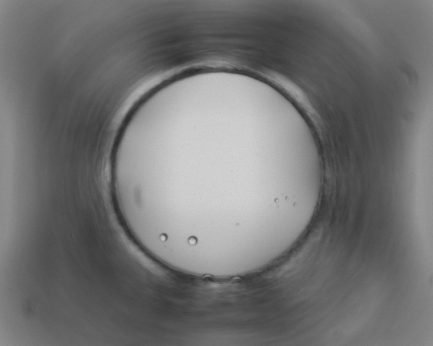 X0000113891335200910221409