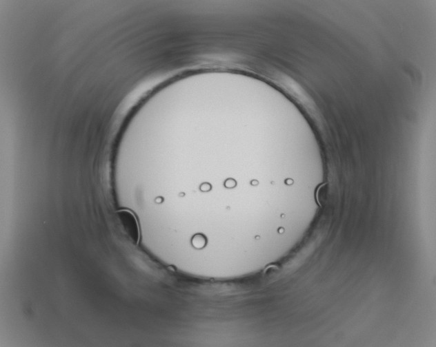 X0000113891336200910221409